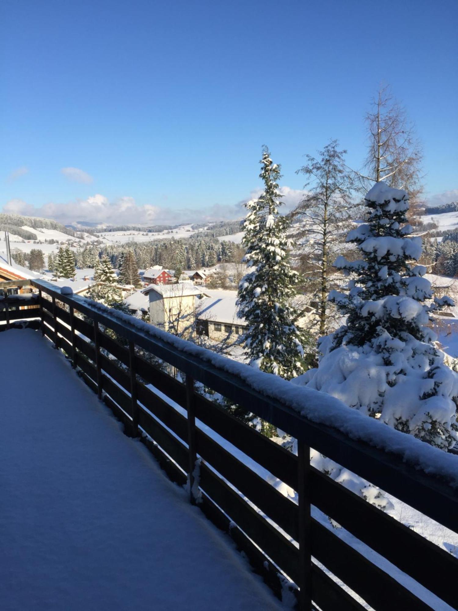 Panoramaapart - Alpzeit Im Westallgaeu Oberreute Exteriér fotografie